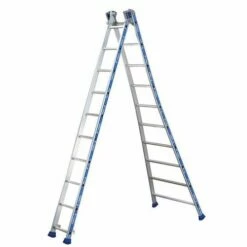 Reformladder Platinium 300 Pro - 2 Delen - Tubesca -FACOM Winkel AIG2654194