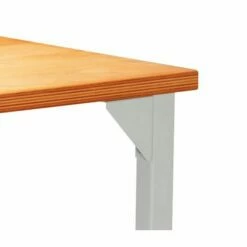 Werkbank Eko Verstelbaar - Met Of Zonder Lade 9 Werkbank Eko Verstelbaar - Met Of Zonder Lade -FACOM Winkel AIG451660